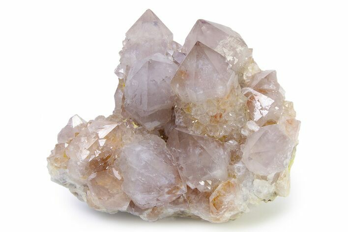 Lustrous Cactus Quartz Crystal Cluster - South Africa #336766